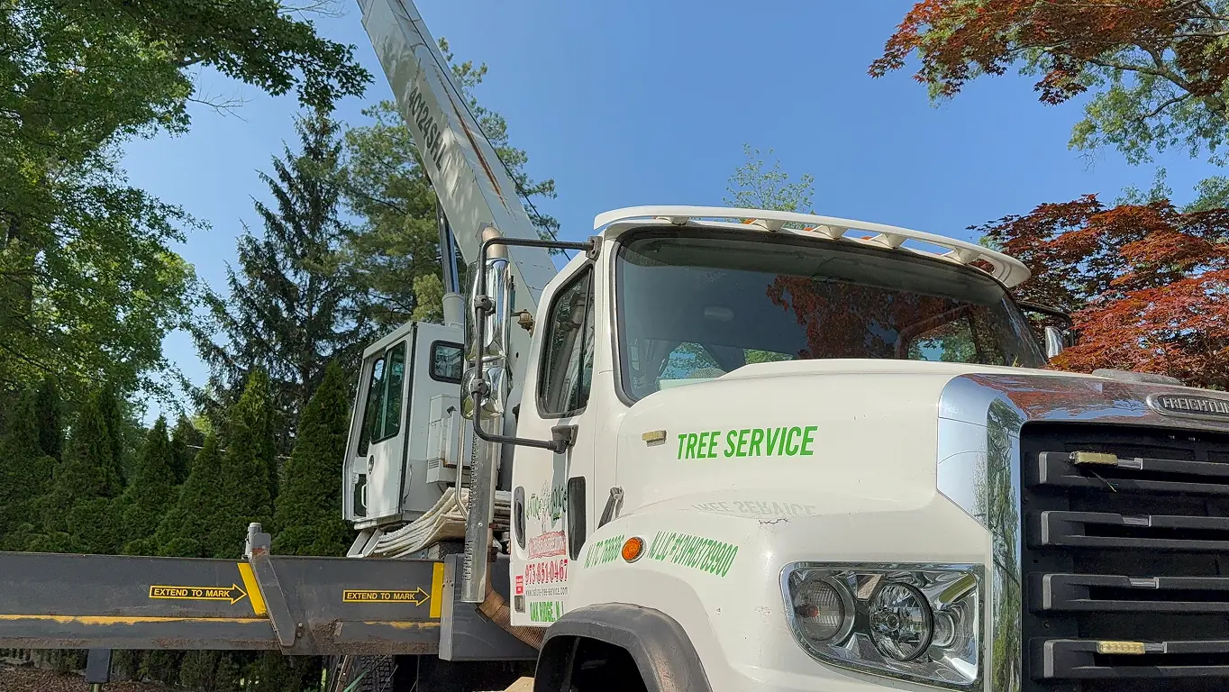 Specialized vehicle for tree pruning and felling with equipment