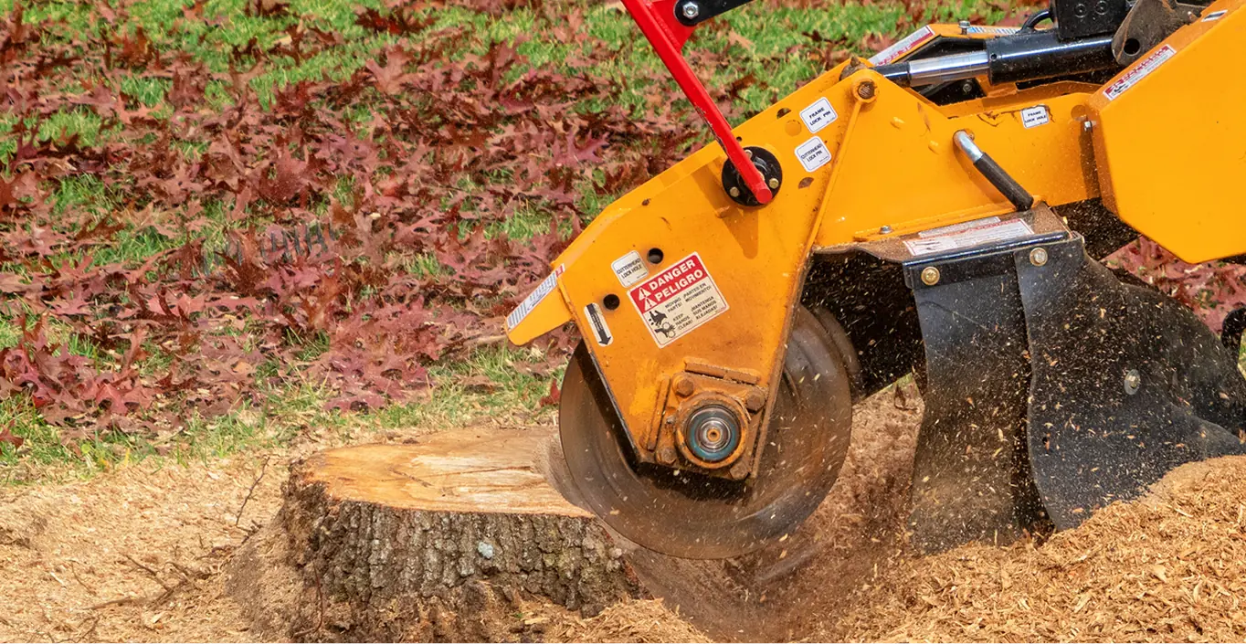 Stump grinding machine removing tree stump