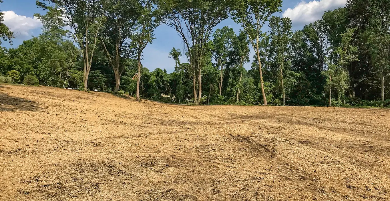 Cleared land prepared for construction or landscaping